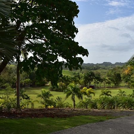 Camuy Hotel Hacienda Agroturistico Vista Hermosa מראה חיצוני תמונה